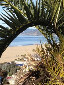 ALT="oceanfront on Santa Monica beach with no trash from recycling program"